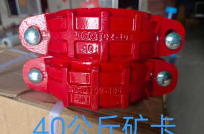 點(diǎn)擊查看詳細(xì)信息<br>標(biāo)題：剛性卡箍 閱讀次數(shù)：873